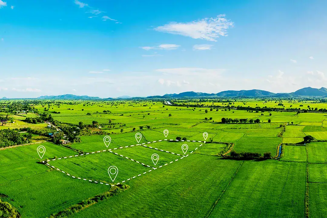 Subdivision Adelaide